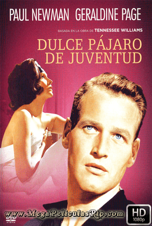 El Dulce Pajaro De La Juventud 1962 ES EN